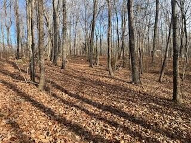 214 Gray Creek Road, Graysville, TN 37338