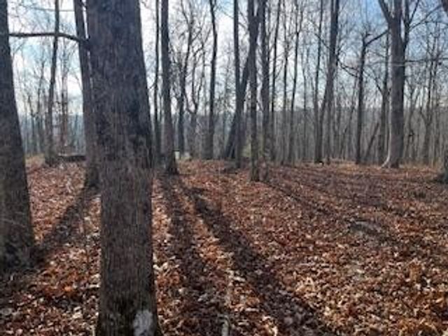214 Gray Creek Road, Graysville, TN 37338