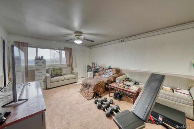 29975 US Highway 24, Buena Vista, CO 81211