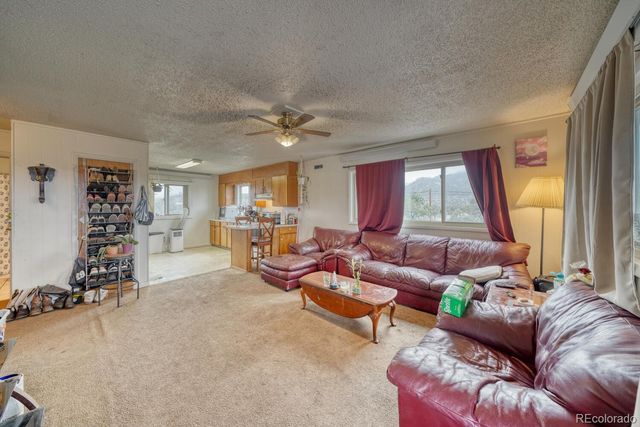 29975 US Highway 24, Buena Vista, CO 81211