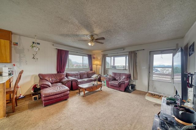 29975 US Highway 24, Buena Vista, CO 81211