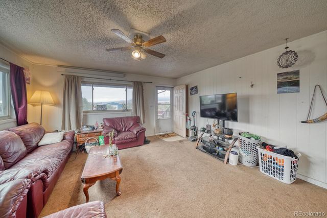 29975 US Highway 24, Buena Vista, CO 81211