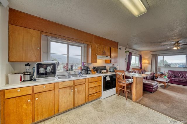 29975 US Highway 24, Buena Vista, CO 81211