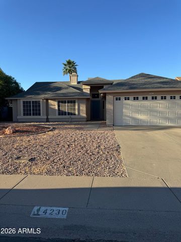 4230 E SALTSAGE Drive, Phoenix, AZ 85048