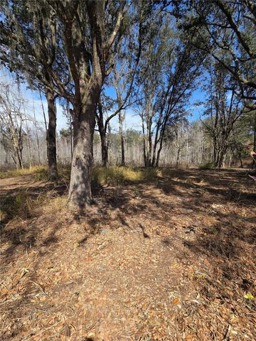 359 SAVANNAH OAKS DRIVE, Brooksville, FL 34602