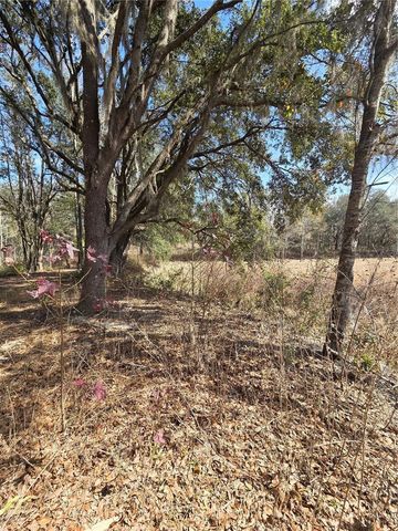 359 SAVANNAH OAKS DRIVE, Brooksville, FL 34602