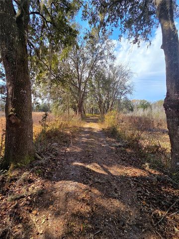 359 SAVANNAH OAKS DRIVE, Brooksville, FL 34602
