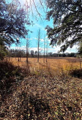 359 SAVANNAH OAKS DRIVE, Brooksville, FL 34602