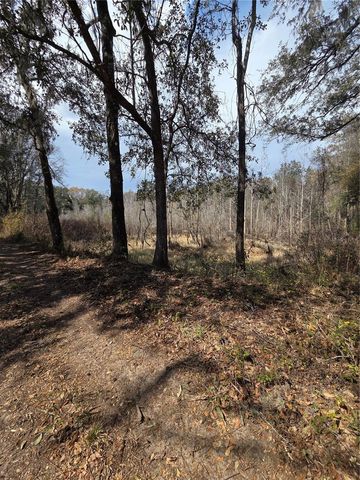 359 SAVANNAH OAKS DRIVE, Brooksville, FL 34602