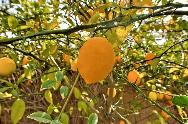 1239 Mallorca, Upland, CA 91784