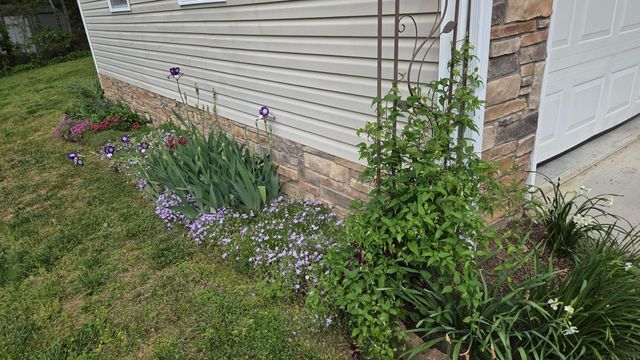 141 Ponderosa Drive, London, KY 40741