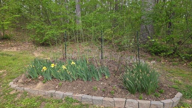 141 Ponderosa Drive, London, KY 40741