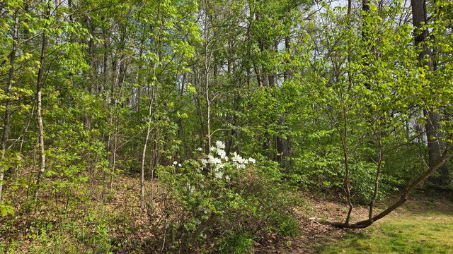141 Ponderosa Drive, London, KY 40741