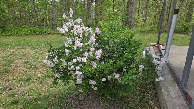 141 Ponderosa Drive, London, KY 40741