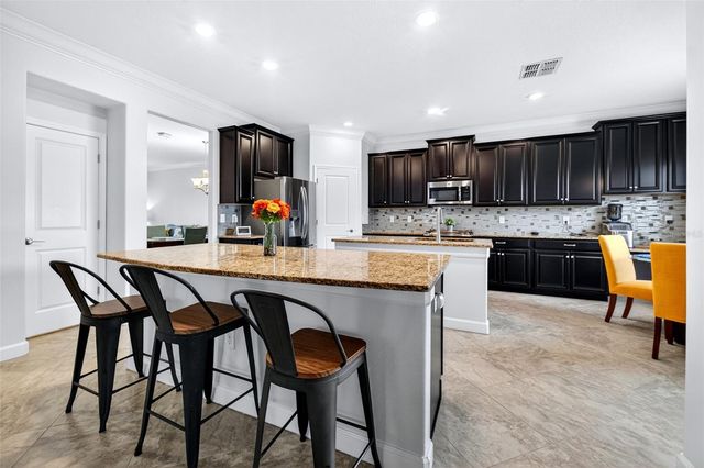 12005 CINNAMON FERN DRIVE, Riverview, FL 33579