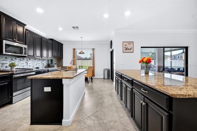12005 CINNAMON FERN DRIVE, Riverview, FL 33579