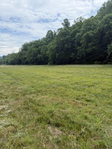 0 Hurricane Branch Lane, Gainesboro, TN 38562