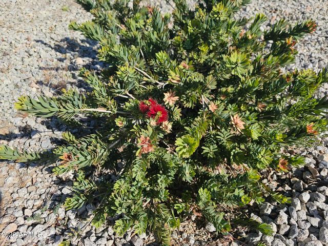 65 COTTONWOOD Lane, Wickenburg, AZ 85390