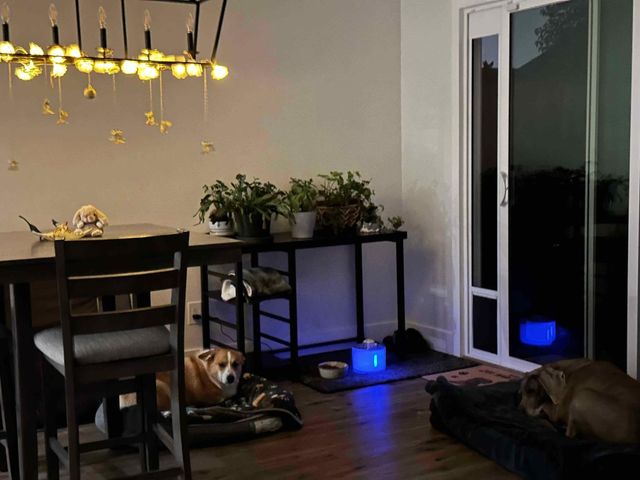 9374 Deeth Ct, Sacramento, CA 95827