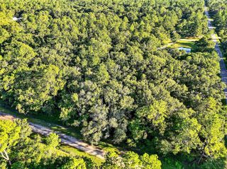 4700 JUDY STREET, Hastings, FL 32145