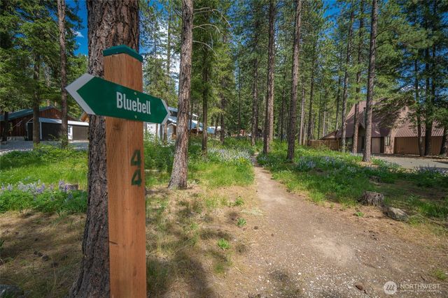 25312 Saddle Street, Leavenworth, WA 98826