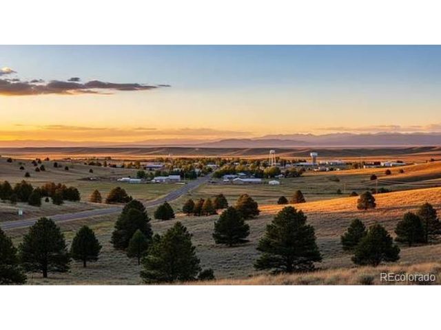 1238 Black Haw St, Elizabeth, CO 80107