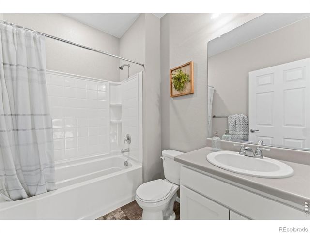 860 Camberly Drive, Windsor, CO 80550