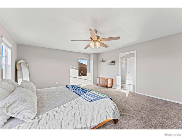 860 Camberly Drive, Windsor, CO 80550