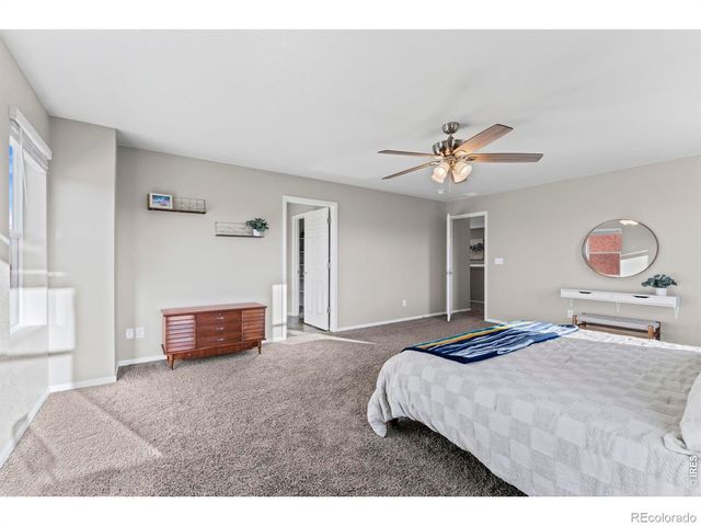 860 Camberly Drive, Windsor, CO 80550