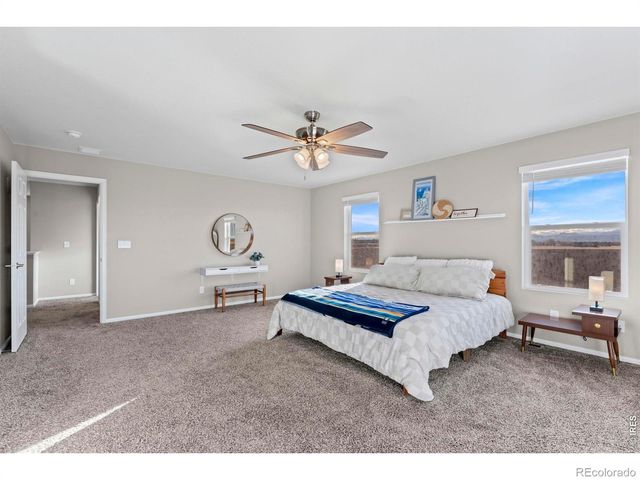 860 Camberly Drive, Windsor, CO 80550