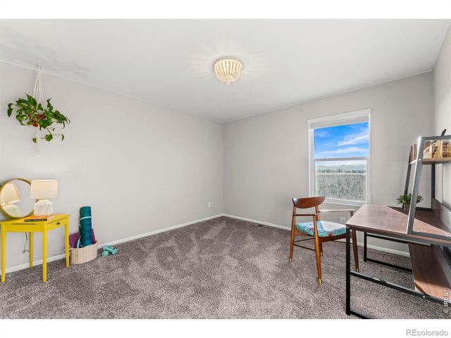 860 Camberly Drive, Windsor, CO 80550