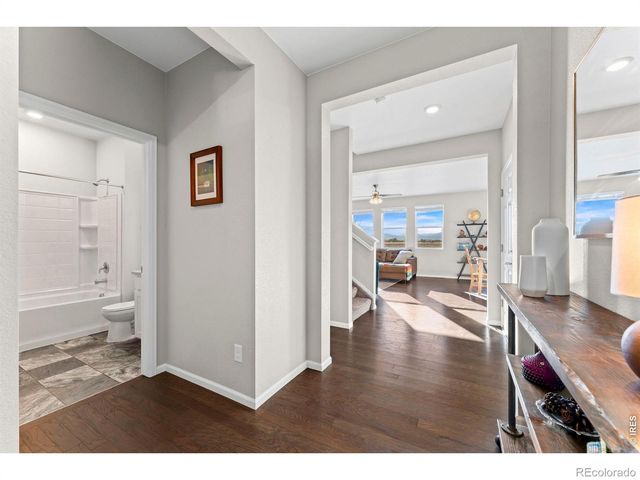 860 Camberly Drive, Windsor, CO 80550