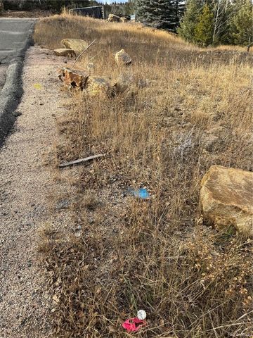 001 Hooper Street, Central City, CO 80427