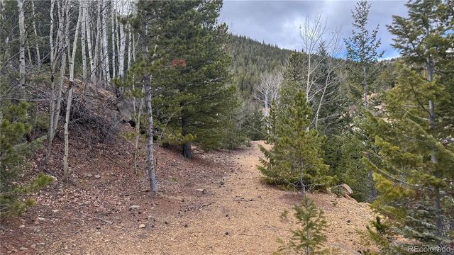 001 Hooper Street, Central City, CO 80427