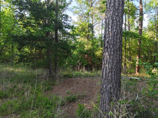 1545 County Road, Crockett, TX 75835