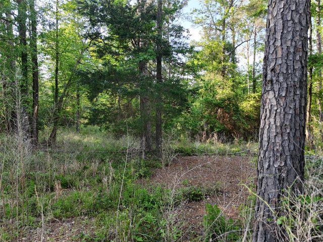 1545 County Road, Crockett, TX 75835
