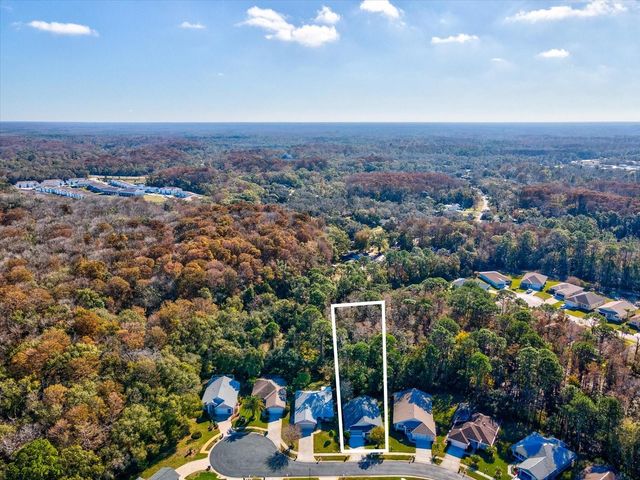 11446 SINATRA COURT, New Port Richey, FL 34654