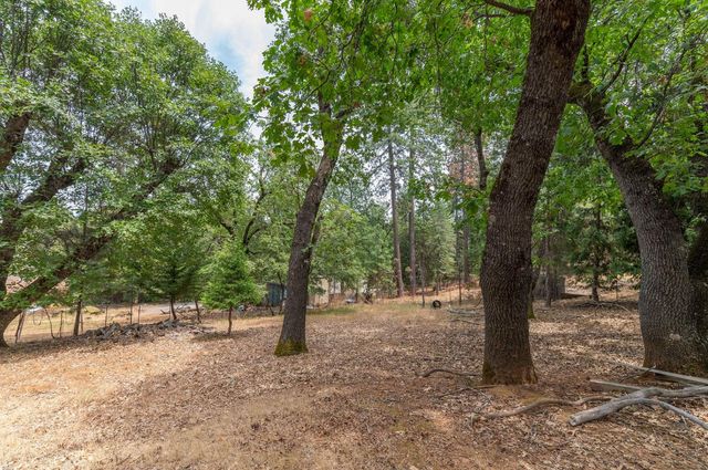 11082 Quail Dr, Pine Grove, CA 95665