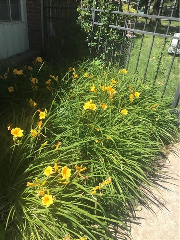 513 NE Balboa Street, Lee's Summit, MO 64063