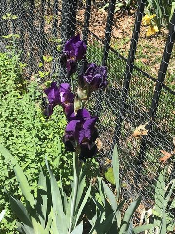 513 NE Balboa Street, Lee's Summit, MO 64063