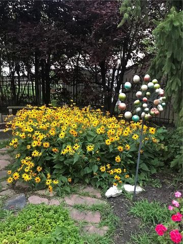 513 NE Balboa Street, Lee's Summit, MO 64063