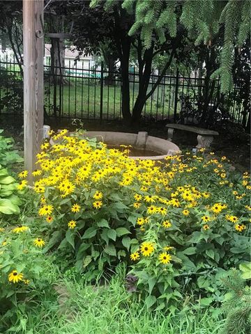 513 NE Balboa Street, Lee's Summit, MO 64063