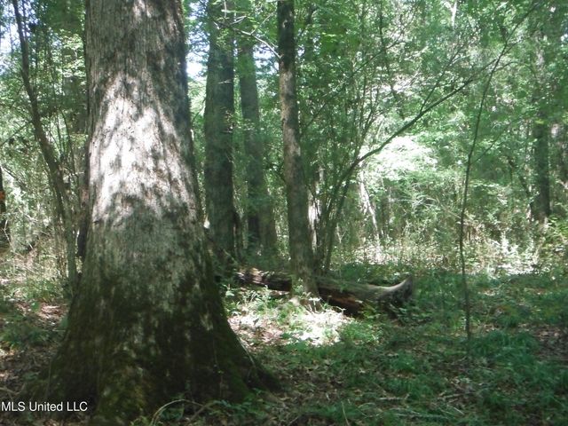01 N Hwy. 35, Carthage, MS 39051
