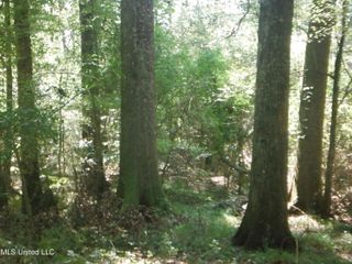01 N Hwy. 35, Carthage, MS 39051