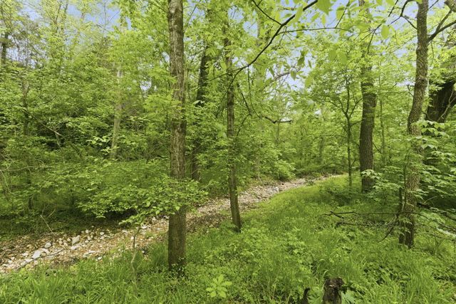 2012 N 7th Avenue, Ozark, MO 65721