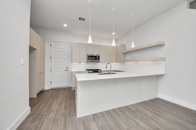 3015 Pelon Cay Drive, Houston, TX 77047