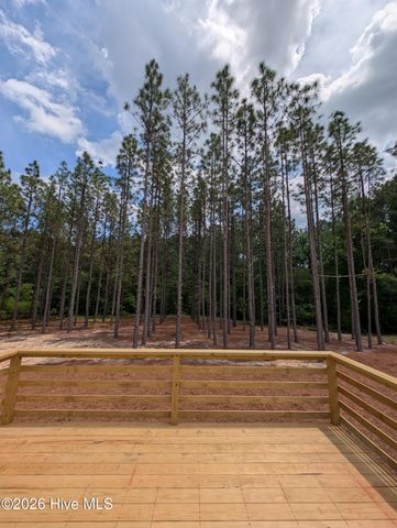 521 Veronica Way, West End, NC 27376