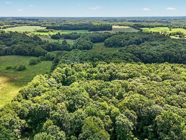 12017 Lilac Lane, Dowling, MI 49050