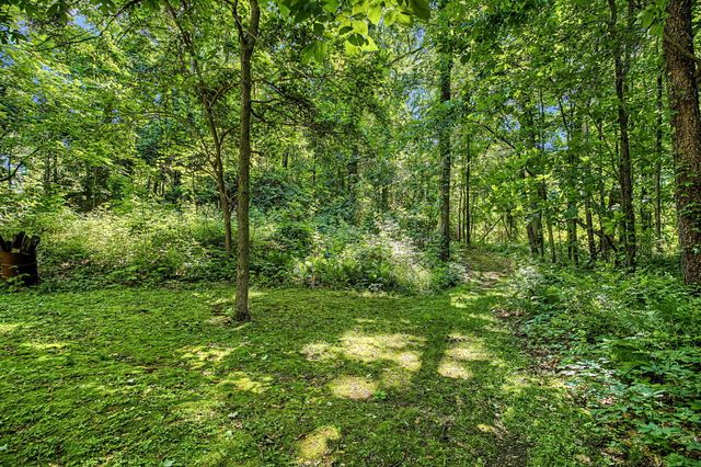 12017 Lilac Lane, Dowling, MI 49050