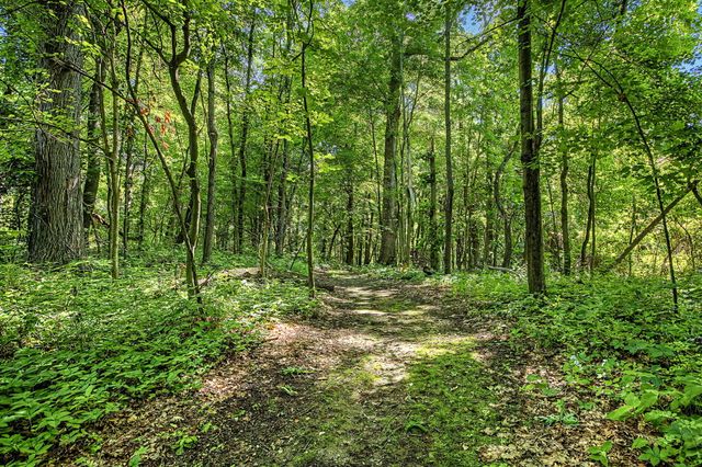 12017 Lilac Lane, Dowling, MI 49050